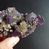 Fluorita y Calcita
Denton Mine, Harris Creek, Hardin, Illinois, USA
10 x 7 cm. (Autor: javier ruiz martin)