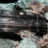 Vesubianita
Bellecombe, Valle D´Aosta, Italia
11x6 cm (cristal: 4x1,8 cm) (Autor: nerofis2)