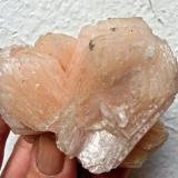 Estilbita.
Savada, Distrito Jalgaon, Maharashtra, India.
Ancho de imagen 11 cm. (Autor: María Jesús M.)