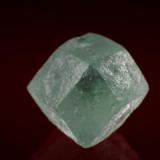 Boracite
Sehnde, Hildesheim, Lower Saxony, Germany
10 mm (Author: Gerhard Brandstetter)