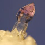 Quartz (var Amethyst)
Brandberg, Namibia
44 x 23 x  18 mm
Scepter 11 mm (Author: Don Lum)