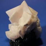 Calcite, Sphalerite
Racracancha Mine, Tinyahuarco District, Pasco Province, Cero De Pasco Department, Peru
7.3 x 5.2 x 4.6 cm
Multiple twinned Manganocalcite on Sphalerite (Author: Don Lum)