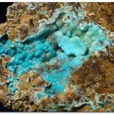 Hemimorfita y Auricalcita
Mina El Pedreo, San Miguel de Linares, Artzentales, Vizcaya, España
8 x 5,5 cm
Col. y foto Rafa Muñoz Alvarado
Recolectada en 2006 (Autor: Rafa Muñoz(mineralvarado))