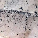 Dolomita 
Cantera Azkarate, Eugui, Esteríbar, Navarra, España
7 x 4 cm
Los cristales de dolomita van recubiertos de óxidos de manganeso. (Autor: Cristalino)