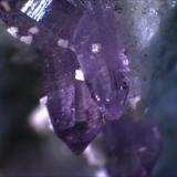 Quartz Var. Amethyst
Cava Capurru, Osilo Sassari, Sardegna, Italia
1cm x .5cm x .5cm (Author: Mark Ost)