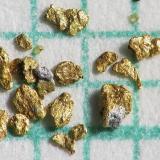 Oro y Plata
Arroyos en la zona de Pribram, República Checa
pieza más grande  1 mm, en papel milimétrico (Autor: Miro Straka)