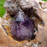 Amethyst quartz crystal.
Brandberg, Namibia
129 x 111 x 63 mm
Same as above.  The crystal measures 36 mm long. (Author: Pierre Joubert)
