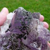 Amethyst quartz and unknown mineral, possibly calcite.
Brandberg, Namibia
129 x 119 x 89 mm
Same as above. (Author: Pierre Joubert)