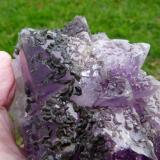 Amethyst quartz and unknown mineral, possibly calcite.
Brandberg, Namibia
129 x 119 x 89 mm
Same as above.  The unknown crystals are up to 8 mm long. (Author: Pierre Joubert)