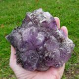 Amethyst quartz and unknown mineral, possibly calcite.
Brandberg, Namibia
126 x 119 x 89 mm
A very unusual specimen from Brandberg.  Possibly a new area. (Author: Pierre Joubert)