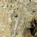 The cavity left by a large (more than a meter long) spondumene crystal that was removed (doubtfully intact) (Author: Pierre Joubert)