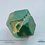 Malachite psm after cuprite
Chessy, Rhône, France
16 mm
2 crystals with parallel axes (Author: Roger Warin)