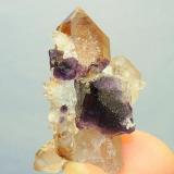 Quartz and Fluorite
Northern Cape, South Africa
38 x 24 x 19 mm (Author: Pierre Joubert)