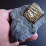 PiritaAmbas Aguas (Ambasaguas), Muro de Aguas, Comarca Arnedo, La Rioja, Spain6 cm x 6 cm (Autor: javier ruiz martin)