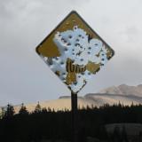 Looking east toward Mosquito Pass. Eventually we were delivered to the  cique to the right of the sign. (Author: vic rzonca)