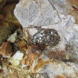 A bit of ore, pyrite and other complex sulfides in situ. I think this was part of an old foundation. (Author: vic rzonca)