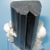 Schorl, albite
Shengus, Haramosh Mts., Skardu District, Gilgit-Baltistan, Pakistan
56 mm x 42 mm

Rear view (Author: Carles Millan)