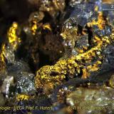 Gold, galena, quartz
La Gardette, Oisans, Isère (France) (Author: Roger Warin)