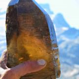 smokyquartz/citrine
Green Dream Claim Revelstoke BC Canada
almost a foot long
large smoky quartz/citrine I found at my claims near revelstoke, now held to the light (Author: thecrystalfinder)