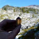 smokyquartz/citrine
Green Dream Claim Revelstoke BC Canada
first crystal to come out of the pocket (Author: thecrystalfinder)