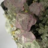 Fluorite
Trevaunance mine, St Agnes, Cornwall, England, UK
Crystals to 7mm (Author: ian jones)