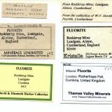 Fluorite - labels
collection of labels for the above specimen (Author: Jesse Fisher)