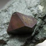 Magnetita
Diamantina, Jequitinhonha Valley, Minas Gerais, Brasil
7 x 5,5 x 3 cm
Detalle del cristal (Autor: Antonio Alcaide)