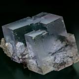 Fluorite
Penfield Quarry, Penfield, Monroe Co., New York, USA
3.2 x 3.0 cm (Author: am mizunaka)