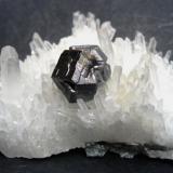 Galena, quartz
Palomo Mine, Castrovirreyna Province, Huancavelica Department, Peru
Specimen size 9 cm, galena crystal 2 x 1,5 cm (Author: Tobi)