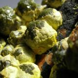 Mimetite
Dry Gill Mine, Caldbeck Fells, Cumbria, England, UK

Dark green mimetite balls to 10mm with a secondary coating of lighter green pyromorphite? (Author: ian jones)