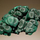 Malachite
Shilu Mine, Yangchun Co., Guangdong Prov., China
3.6 x 5.1 cm
Dark green botryoidal malachite with a chatoyant luster. (Author: crosstimber)