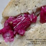 Liddicoatite (rubellite)
Tsararano (Mont Ibity) - Sahatany Valley.
close up (Author: Roger Warin)