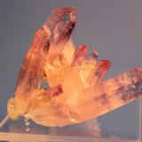 Quartz (var Amethyst)
Las Vigas, Vera Cruz, Mexico
5.5 x 4.5 cm (Author: Don Lum)