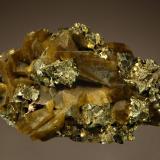 Siderite and chalcopyrite
Kaiwu Mine, Hezhang Co., Bijie Pref., Guizhou Prov., China
4.6 x 7.2 cm.
Semi-transluscent brown siderite rhombs to 2 cm interspersed among brassy chalcopyrite crystals. Thanks to Berthold Ottens and Jordi for making the true location of these specimens known. (Author: crosstimber)