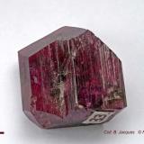 liddicoatite
same specimen
rear part (Author: Roger Warin)