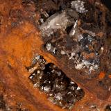 Adamita
Mina Ojuela, Mapimí, Durango, México
13x11 cm
Detalle de la anterior (Autor: victor chaul chamut)