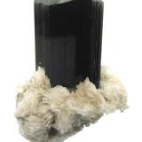 Schorl, albite
Shengus (Shingus), Haramosh Mts., Skardu District, Baltistan, Gilgit-Baltistan (Northern Areas), Pakistan
Specimen height 5 cm
 (Author: Tobi)