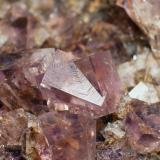 Fluorite
Rotherhope Fell Mine, Alston Moor District, Cumbria, England, UK.
Field of view 4 cm
 (Author: Leon Hupperichs)