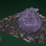 Fluorite, Sphalerite
Elmwood mine, Carthage, Tennessee, USA
10.5 x 6.0 cm (Author: am mizunaka)