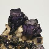 Fluorite
Carn Brea Mine, Illogan, Cornwall, England, UK.
Field of view 4 cm
 (Author: Leon Hupperichs)