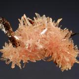 Inesite
Fengjiashan Mine, Daye Co., Huanshi Pref., Hubei Prov., China
1.7 x 2.3 cm.
Acicular pink inesite crystals with scattered brown hubeite. (Author: crosstimber)