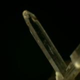 Pectolite
Jeffery Quarry, Asbestos, Quebec, Canada
5mm x 1 mm x 2mm (Author: Mark Ost)