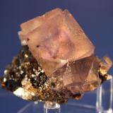 Fluorite
Elmwood Mine, Smith County, Tennessee, USA
6.2 x 5.5 cm (Author: Don Lum)