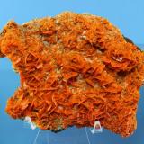 Wulfenite
Xin Jiang Province, China
15 x 11 x 5 cm (Author: Don Lum)