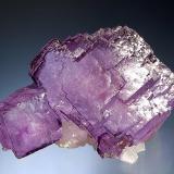 Fluorite
Yaogangxian Mine, Yizhang Co., Chenzhou Pref., Hunan Prov., China
5.5 x 8.0 cm
Several interconnected purple fluorite crystals with thin dark purple rims associated with minor quartz. (Author: crosstimber)