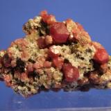 Grossular (Garnet)
Lake Jaco, Sierra de las Cruces, Coahuila, Mexico
5.5 x 3.6 cm (Author: Don Lum)