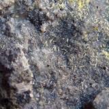 MimetitaSanta Bárbara Mine, De Pichita Hill, La Perdiguera, Madridejos, Comarca La Mancha, Toledo, Castilla-La Mancha, SpainFormato Macro, tamaño milimétrico (Autor: javier ruiz martin)
