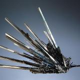 Stibnite
Xikuangshan Mine, Lengshuijiang Co., Loudi Pref., Hunan Prov., China
6.5 x 8.5 cm.
Slender lustrous stibnite crystals emanating from a central point with a second generation of smaller crystals growing along the lower half of the prism. (Author: crosstimber)