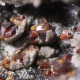 Esfalerita<br />Minas de Velilla, Velilla de la Tercia, Villamanín, Comarca Los Argüellos, León, Castilla y León, España<br />Cristales de 2mm<br /> (Autor: minero1968)