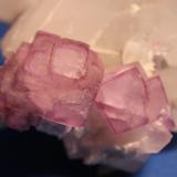 Fluorite, Quartz
Yaogangxian Mine, Hunan, China
10 x 9 cm (Author: Don Lum)